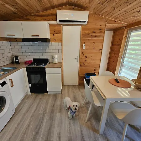 Camping Rosa Mobilhome De Motllo